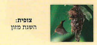 (בספר תרשים של ציוד המשימה)
